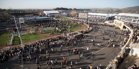 These are the tips you need for Day 3 of Cheltenham