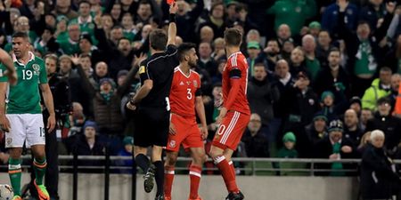 Didi Hamann has a message for the “morons” about the nasty tackles in the Ireland V Wales match