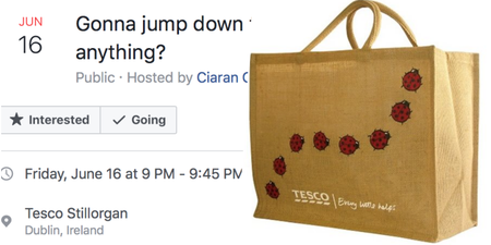 PICS: Thousands of people are attending this ‘bag of cans’-inspired Facebook event in Dublin