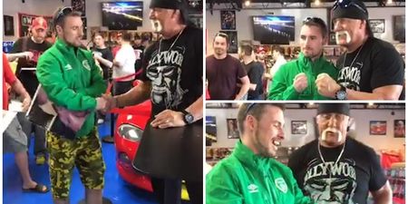 WATCH: “I feel like I’m going to melt.” Irish guy meets incredibly sound Hulk Hogan at Wrestlemania