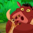 Disney may have found their Timon and Pumbaa for the live-action Lion King remake
