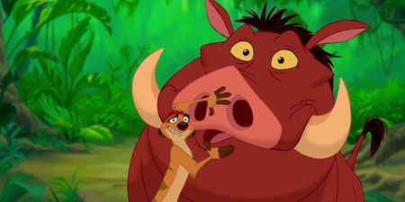 Disney may have found their Timon and Pumbaa for the live-action Lion King remake