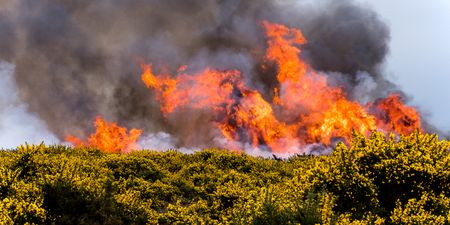VIDEO: Hot weather leads to massive gorse fire on Howth Head in Dublin