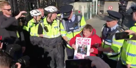 WATCH: Gardaí remove Vera Twomey from her sit down protest outside the Dáil