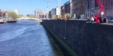 WATCH: Cat rescued from the River Liffey
