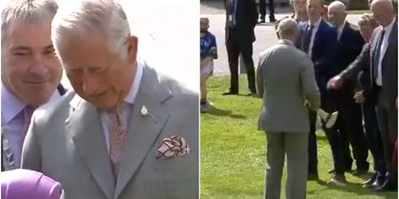WATCH: Prince Charles tried out hurling in Kilkenny under the watchful eye of Henry Shefflin