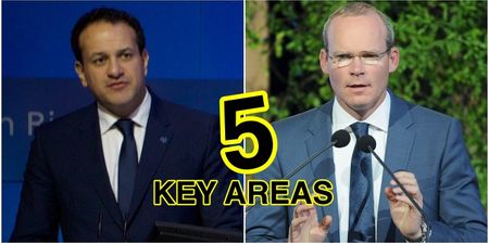 Why Simon Coveney and Leo Varadkar are two peas in a Fine Gael pod