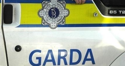 PIC: Garda in Kerry pull driver over and make startling discovery in the back seat
