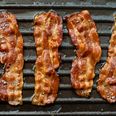 Bacon products issued recall due to being packaged in unapproved facility
