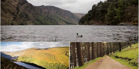 WATCH: This footage from Glendalough will make you want to visit there immediately