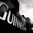 Guinness vows to remove plastic packaging from its beer packs in Ireland by this summer
