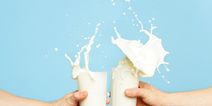 The National Dairy Council has a bone to pick with Irish bloggers over milk and dairy