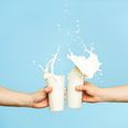 The milk you drink is getting a makeover and you’ll either love it or hate it