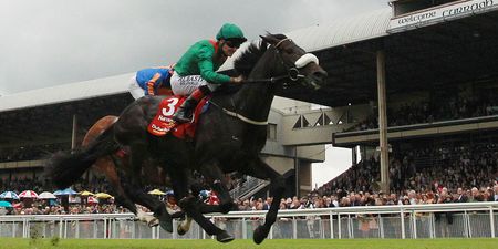 WIN: Tickets for you and three friends to SportsJOE Derby Friday at the Curragh
