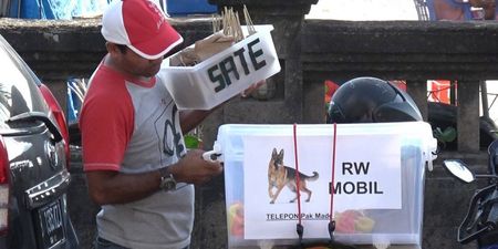 Investigation finds tourists in Bali are being sold dog meat and being told its chicken