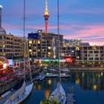 Wanna go to Auckland for the Lions V New Zealand final? This is the cheapest way to get there