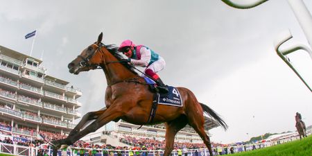COMPETITION: Win 2 tickets to the Darley Irish Oaks and an amazing lunch in the Champagne Bar