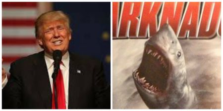 Donald Trump threatened to sue the producers of Sharknado because he didn’t get to play the President
