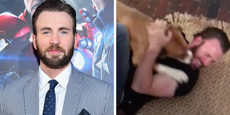 Chris Evans reunited with his dog after 10 weeks is what pure love looks like
