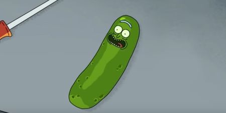 Pickle Rick was inspired by an episode of pretty much the greatest TV show ever made