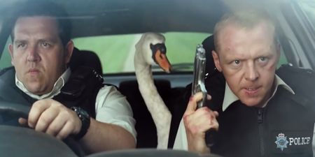 ‘Hot Fuzz’ police actually arrest a rogue swan that was causing havoc on the roads
