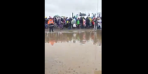 VIDEO: These clips from the Ploughing Championships will make you glad you stayed at home