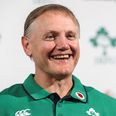 Joe Schmidt to step down as Ireland coach after 2019 World Cup