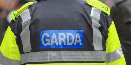 PIC: Gardaí stop a driver with an open bottle of wine in the cupholder