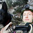 The trailer for HBO’s new documentary on military K9 units is a tactical missile on your tear-ducts