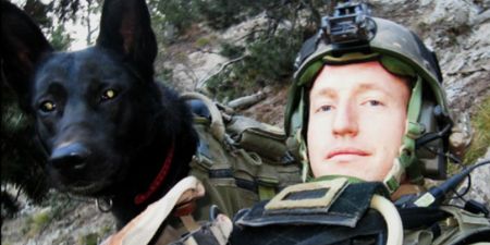 The trailer for HBO’s new documentary on military K9 units is a tactical missile on your tear-ducts