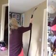 WATCH: Kerry woman tries to catch spider with a vacuum, proceeds to scream her house down