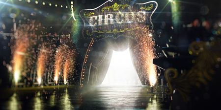 Big change coming to circuses as wild animals banned from new year