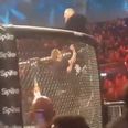 Conor McGregor slaps commissioner after confrontation with referee