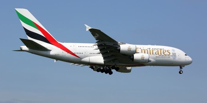 Emirates cabin crew