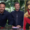 People think they know why Dec keeps slagging Dennis Wise so much on I’m a Celeb