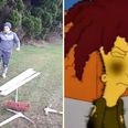 Mullingar man’s attempt at ‘hard hat challenge’ has painful, Sideshow Bob-style ending