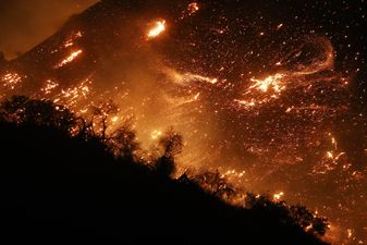 Los Angeles declares state of emergency as wildfire blazes towards UCLA and Getty Centre