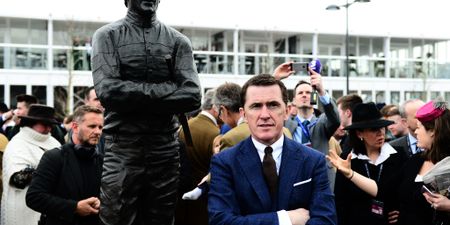 An incredible documentary about AP McCoy is on TV tonight