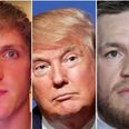 COMMENT: Defending celebrity cult icons like Trump, McGregor and Logan Paul is a toxic cycle