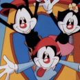 The Animaniacs are officially coming back – but there’s a catch
