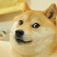 Cryptocurrency Dogecoin has a market cap over $2bn, because some jokes get better with age