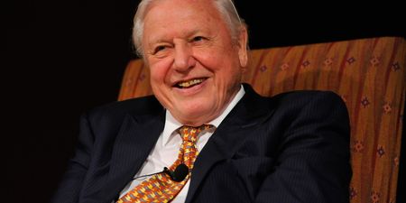 David Attenborough has revealed exactly when he’ll go into retirement