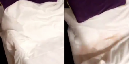 WATCH: An Irish woman did this to her bed following a lengthy tanning session