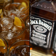 Applications are now open for a Jack Daniel’s taste tester