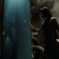 The Shape Of Water has been accused of ripping off not one but TWO different movies