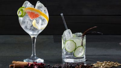 Sales figures from 2017 have revealed how ridiculously popular gin is in Ireland