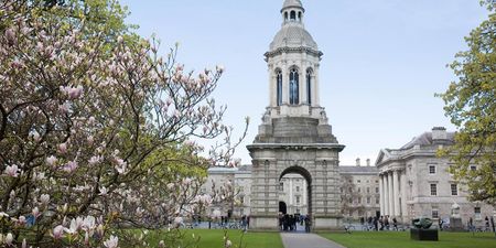 Trinity lecturer faces dismissal following his support of female genital mutilation