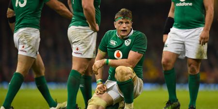 Ireland’s Jamie Heaslip has retired from professional rugby