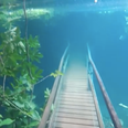 Torrential rain causes hiking trail in Brazil to turn into crystal clear underwater world