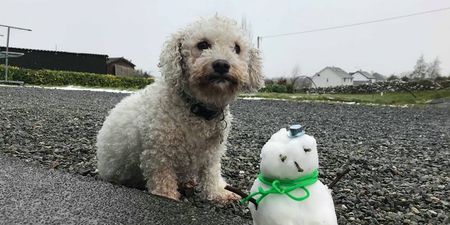 PICS: Is this Ireland’s smallest snowman?